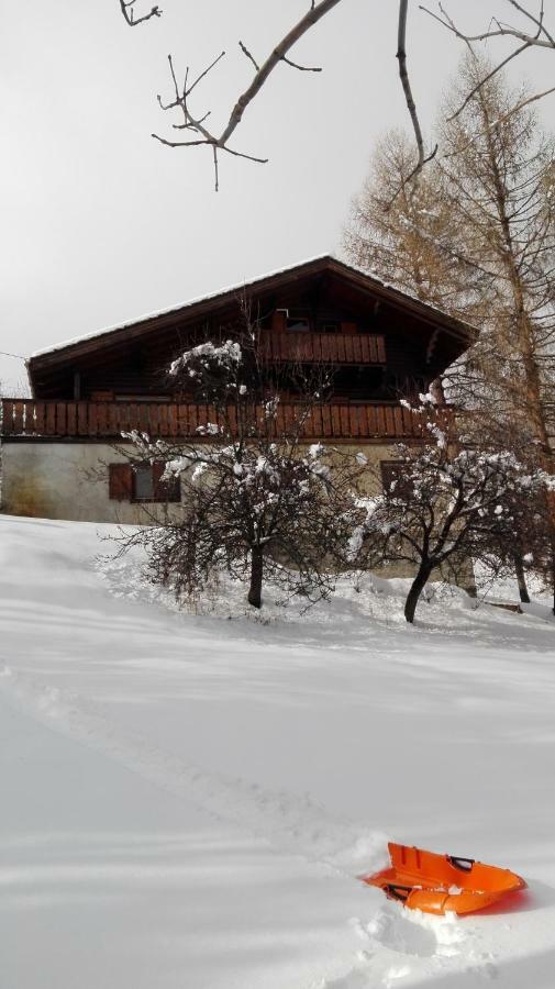 Bel Appartement Au Rez De Chaussee D'Un Chalet Jarrier Экстерьер фото