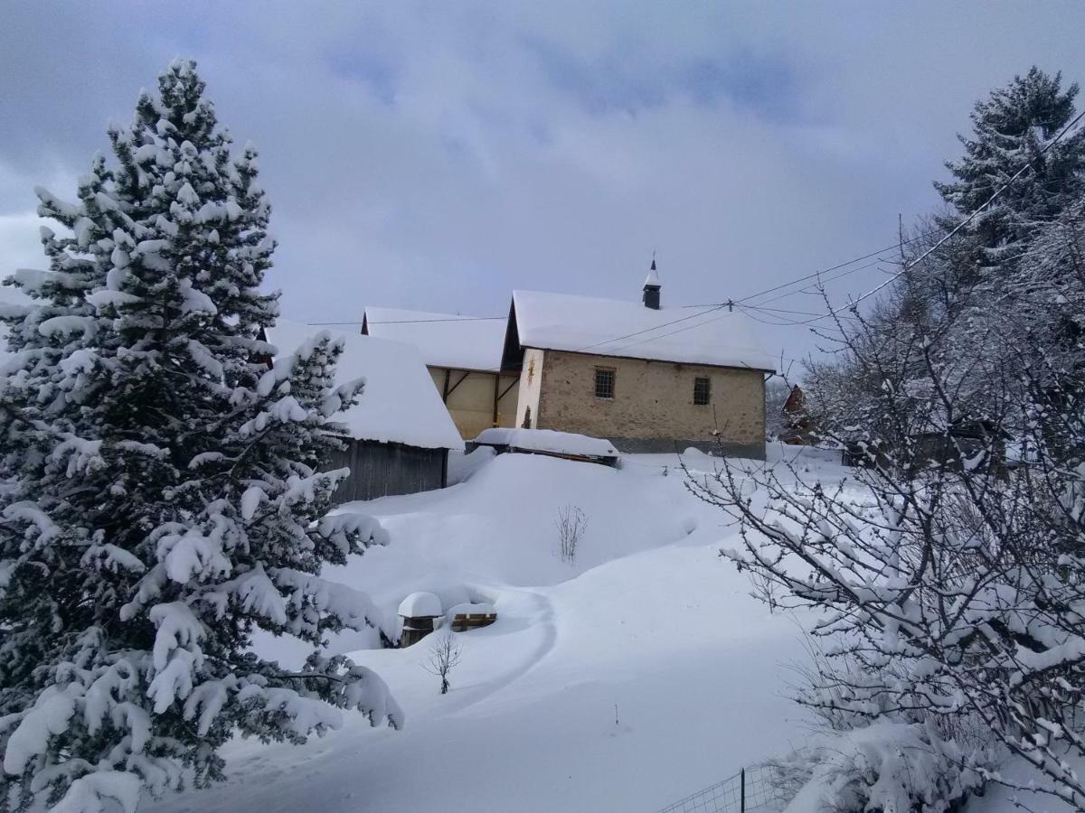 Bel Appartement Au Rez De Chaussee D'Un Chalet Jarrier Экстерьер фото